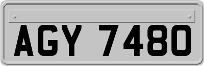 AGY7480