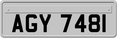 AGY7481