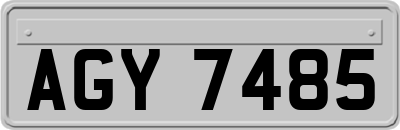 AGY7485