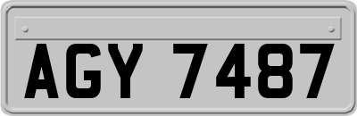 AGY7487