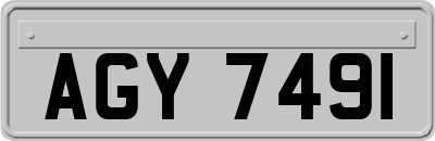 AGY7491