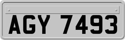 AGY7493
