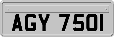 AGY7501