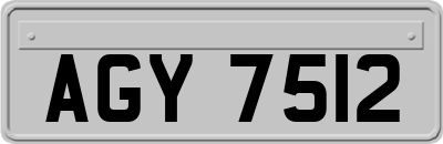 AGY7512