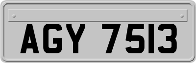 AGY7513