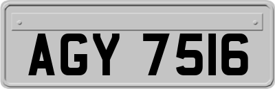 AGY7516