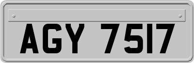 AGY7517