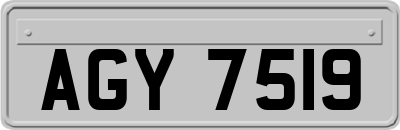 AGY7519