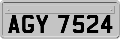 AGY7524