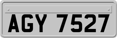 AGY7527