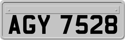 AGY7528