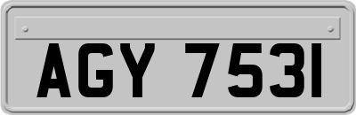 AGY7531