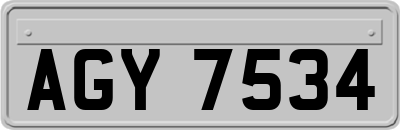 AGY7534