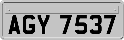 AGY7537