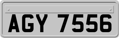AGY7556