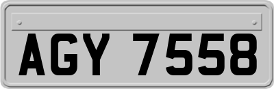 AGY7558