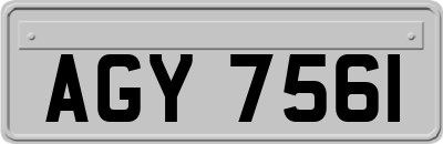AGY7561