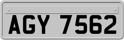 AGY7562
