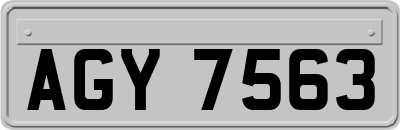AGY7563