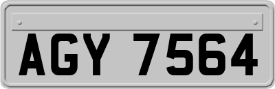 AGY7564