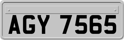 AGY7565