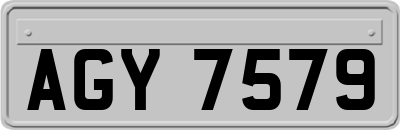 AGY7579