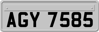 AGY7585