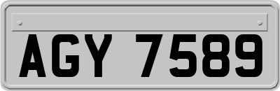 AGY7589