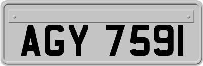 AGY7591