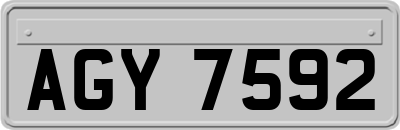 AGY7592