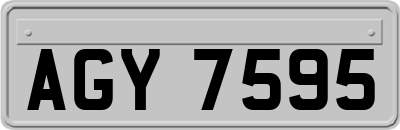 AGY7595