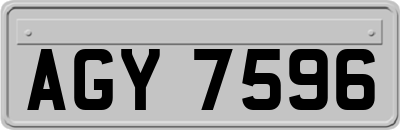 AGY7596