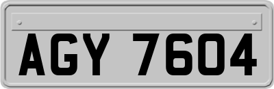 AGY7604