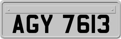 AGY7613