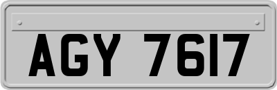 AGY7617