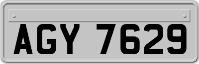 AGY7629