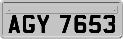 AGY7653