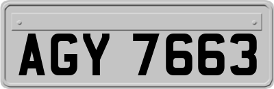 AGY7663