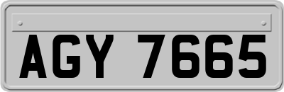 AGY7665