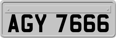 AGY7666