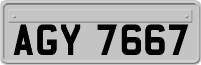 AGY7667