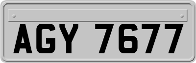 AGY7677