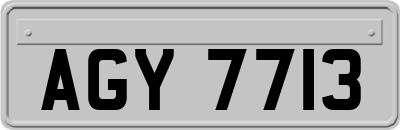 AGY7713