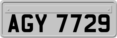 AGY7729