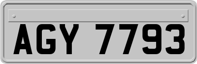 AGY7793
