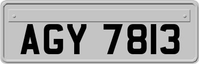 AGY7813