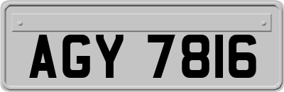 AGY7816