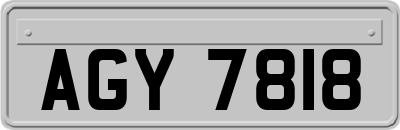 AGY7818