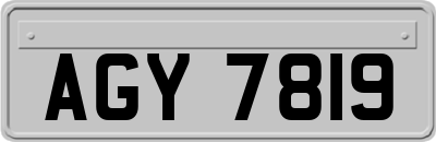 AGY7819