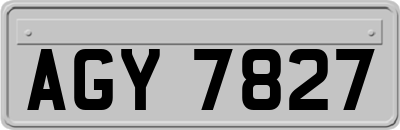 AGY7827